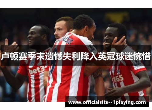 卢顿赛季末遗憾失利降入英冠球迷惋惜