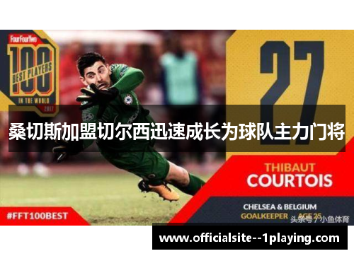 桑切斯加盟切尔西迅速成长为球队主力门将